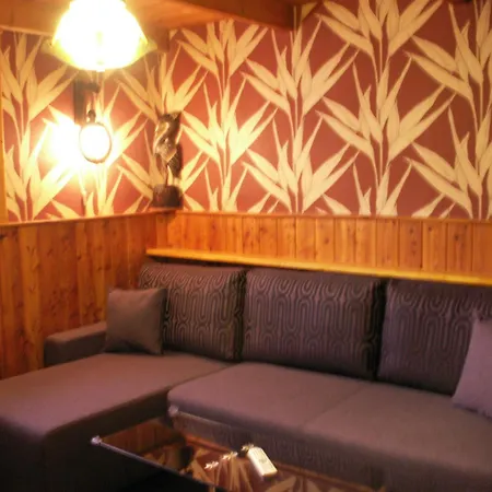 Hotel Lesni Dum 3*