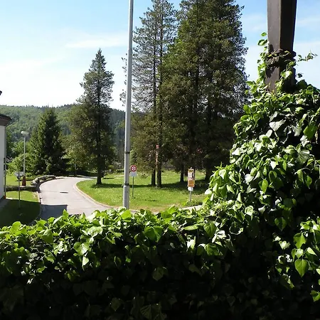 Hotel Lesni Dum Janské Lázně