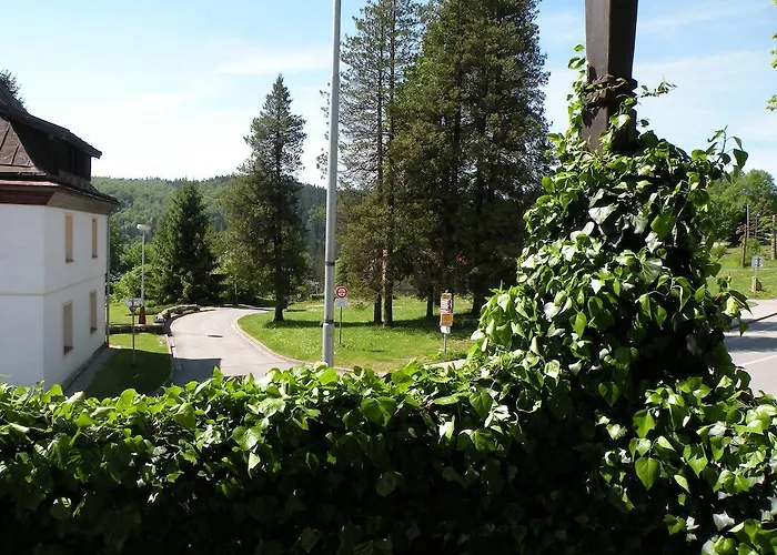 Hotel Lesni Dum Johannisbad